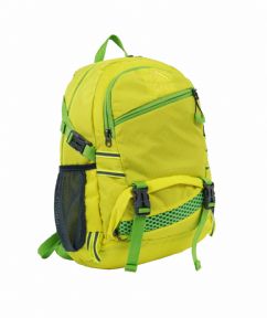High Visibility Backpack